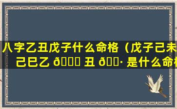 八字乙丑戊子什么命格（戊子己未己巳乙 🕊 丑 🌷 是什么命格）